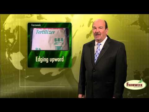 how to fertilize huckleberries