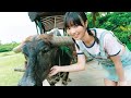 蒔埜ひな、1st写真集で“水着＆ランジェリー”初挑戦　沖縄で魅せた22歳の今