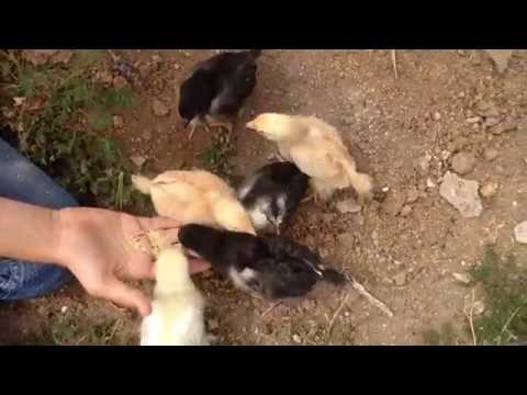 how to care one week baby