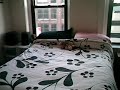 Apartment for rent in Boston Back Bay
