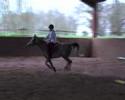 Orane saut