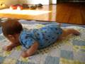 videos de Logan - Tummy to Back - 10/6/08