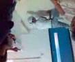 seif