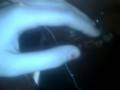 BLOOD