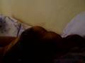 funny dog vito snoring