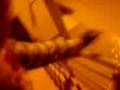 videos de zenga