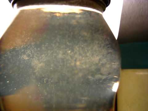 how to collect vinegar eels