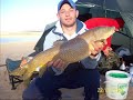 carpones carpones