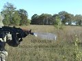 movie suppressors test movie suppressors test