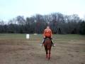 videos de How to do dressage Aaron Style