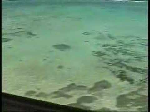 Helo over George Town, Grand Cayman
