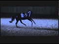 The Equestrian Trailer - Layke Anderson, James Wilby, Carl Hester