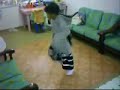 Moonboy shuffle Moonboy shuffle
