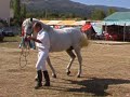 Feria del Caballo de Piedrahita 2006