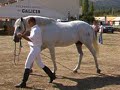 Feria del Caballo de Piedrahita 2006