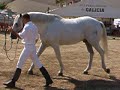 Feria del Caballo de Piedrahita 2006