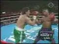 Mike Tyson Knockouts Mike Tyson Knockouts
