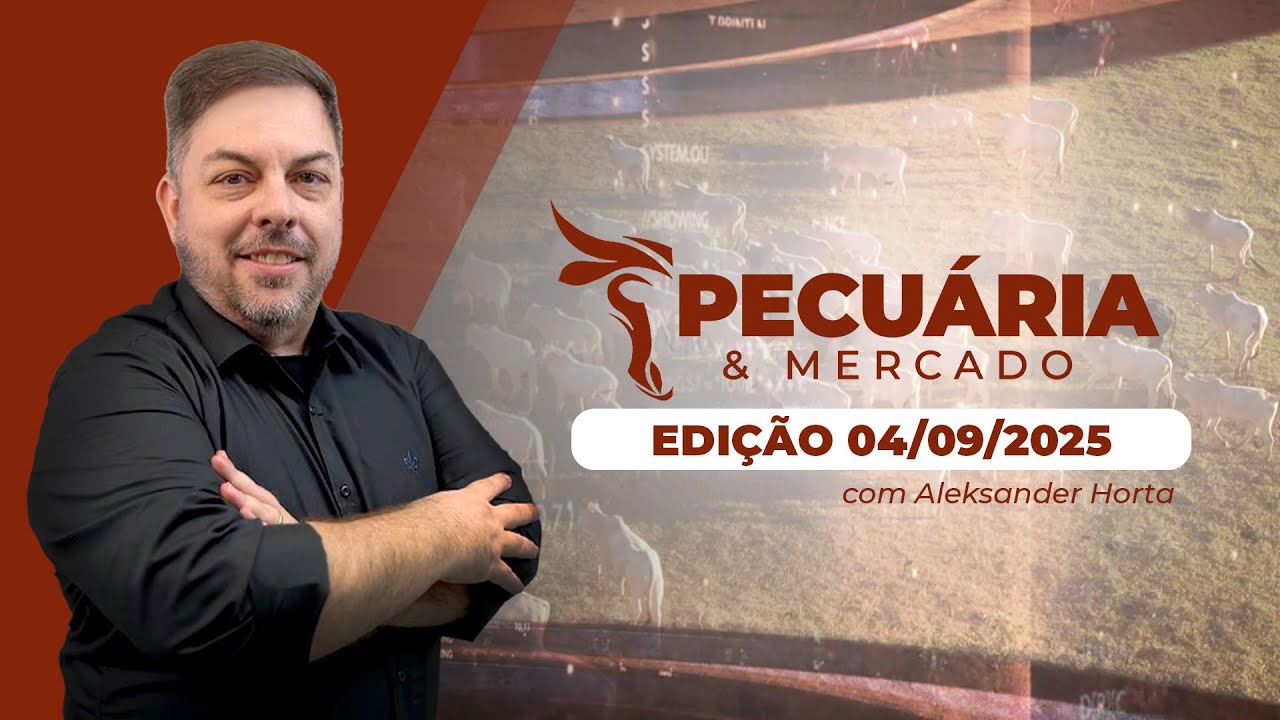 PECUÁRIA E MERCADO - EDIÇÃO 04-09-2025