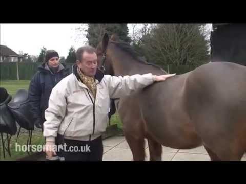 how to fit saddle to rider