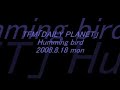 TFM?DAILY PLANET?_20080818_3