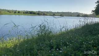 قرية خبيزه المهجره مع أنشودة حسن الوجه للمنشد بلال الأحمد