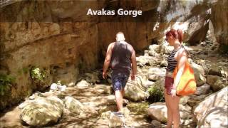 Turtle Bay, Avakas Gorge, Adonis Bath!