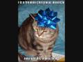 videos de funny christmas pictures