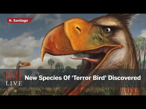 how to discover a new species
