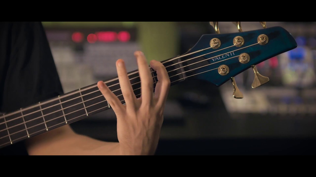 HIDEOUS DIVINITY - "When Flesh Unfolds" (Official Bass Playthrough)