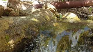 VIDEOS + 66 Avakas George Schlucht Zypern Akamas Kurzvideo 013