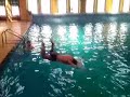 El Sapazo valiente!!!