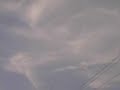 newborn sylph assassinated by invisible death ray