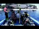 sipadan-malaysia-sharks-turtles-an-more.html