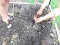 Potatoes.m4v