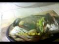 Sizzling Mixed Seafoods