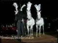 International Circus Festival City of Latina