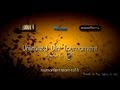 [Trailer] Unlimited Dirt Tournament 2013