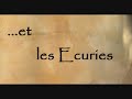 Visite du ch�teau de cheveaux