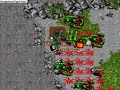 Tibia Hunts hydra