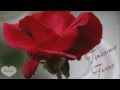 Guarda video
