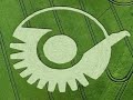 crop circles   circulos de las cosechas
