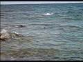 sardegna