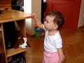 Maja - Pimpinkin 1.
