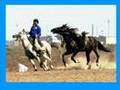 Kazakistan