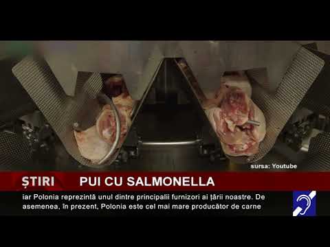Alertă de salmonella, la carnea de pui