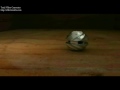FINAL_0001.mov