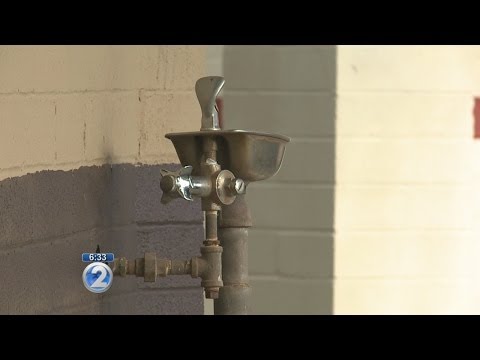 how to isolate e coli from water