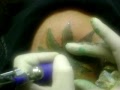 Division 7 Tattoos - 