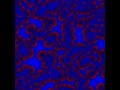 Gray Scott reaction diffusion model simulation