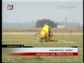 Crash Right In